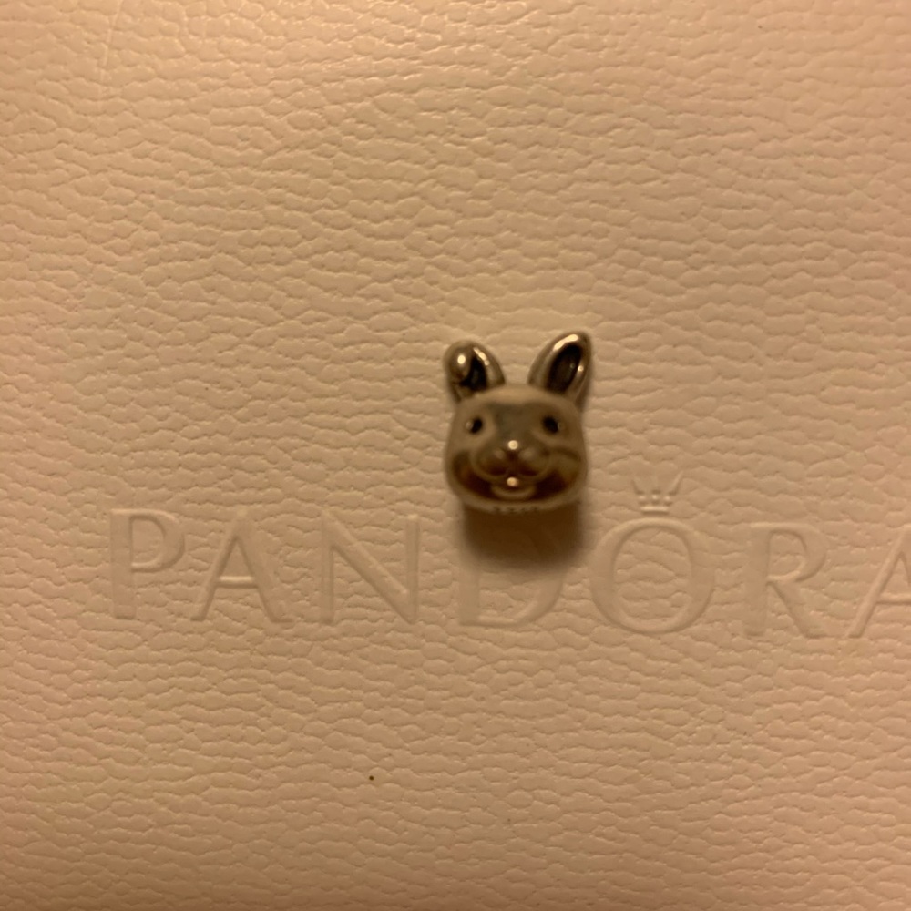 Easter bunny pandora charm